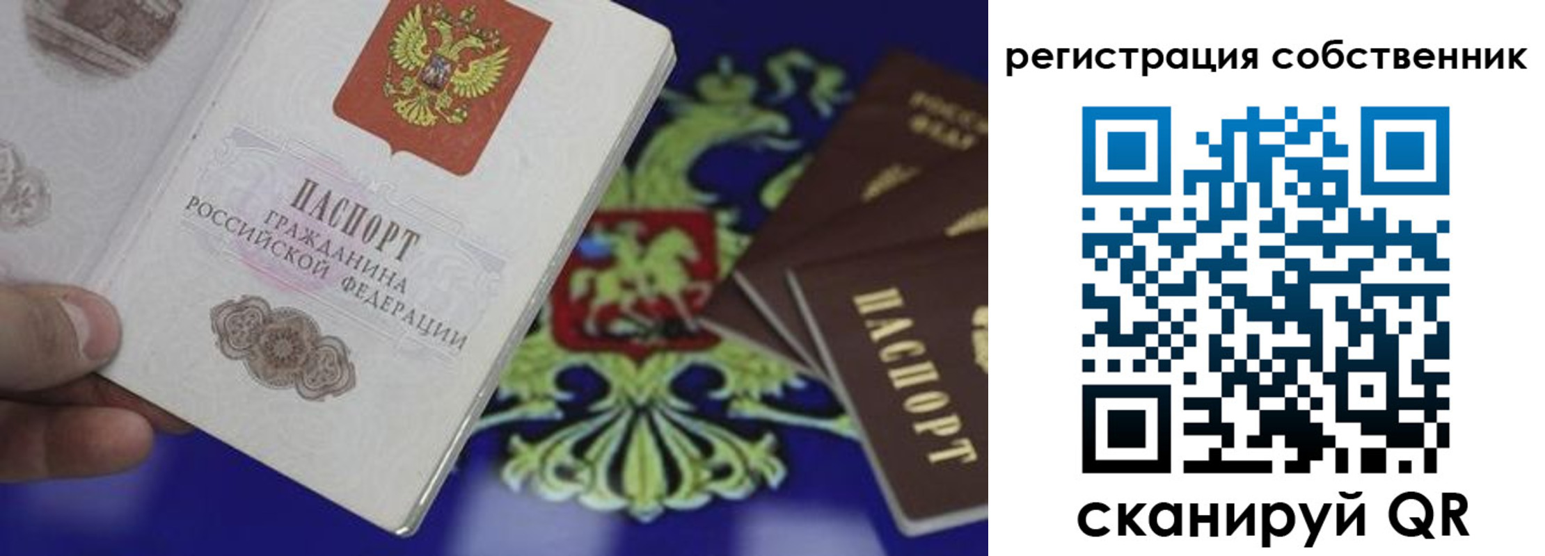 временная регистрация надежно в Сельцо